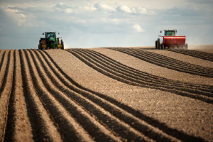 Two tractors plant in field. (Photo courtesy of Shutterstock)